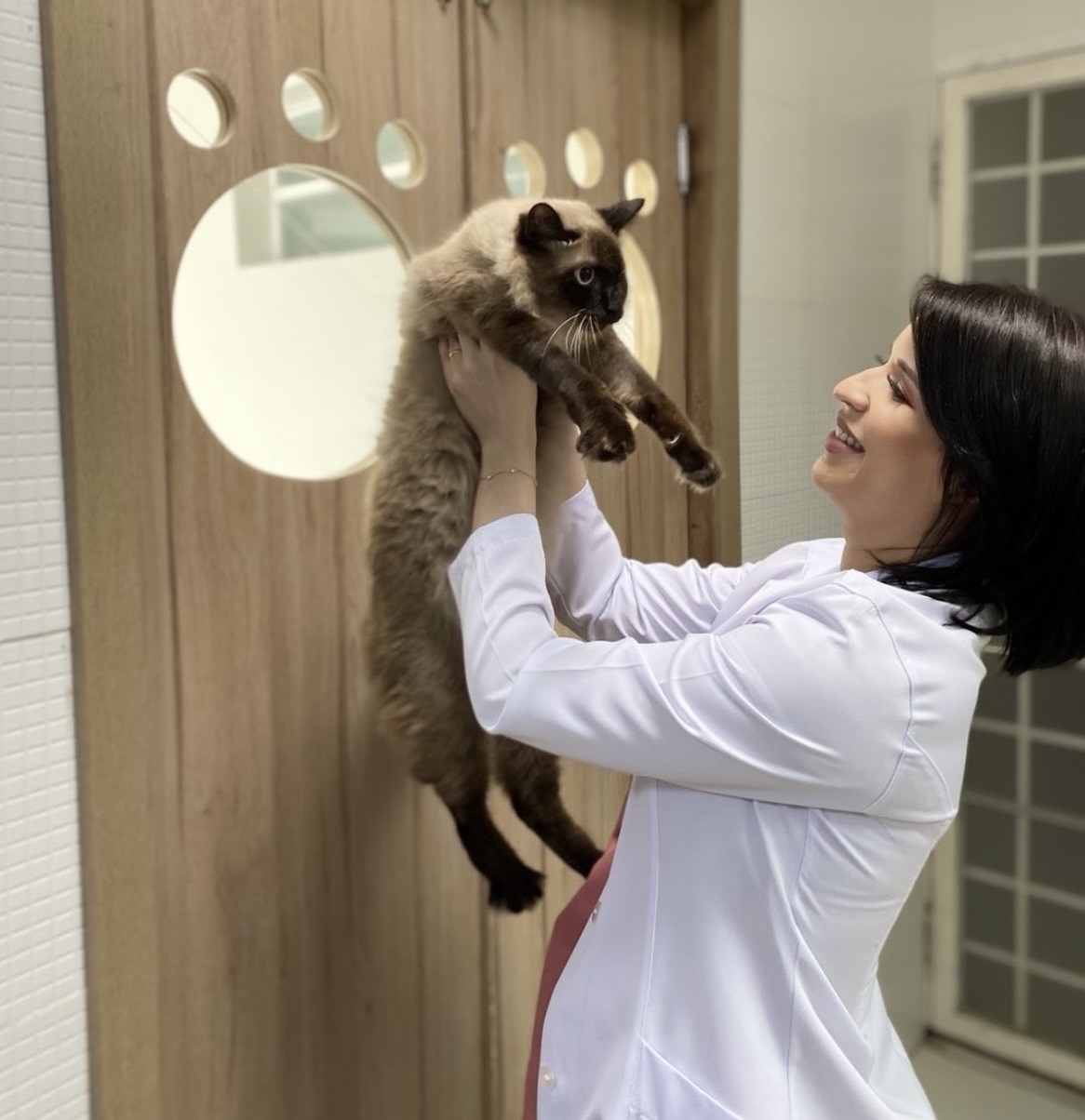 Dra. Vanessa Brígida com paciente felino no consultório